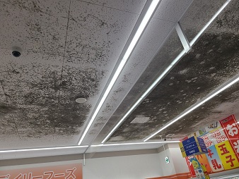 天井：カビ除去・防カビ剤塗布